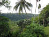 Amandari Ubud resort 